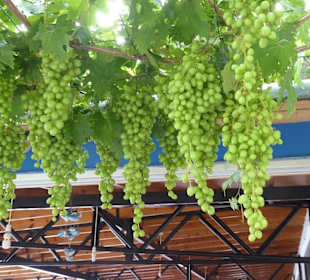 Arapis Coral Bay Restaurant und strand 