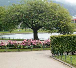 Lille Lungegårdsvannet