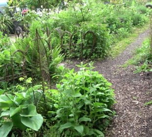 Mezger's Bürgle Park Salzstetten