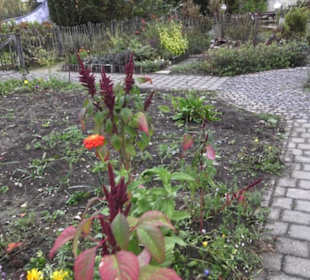 Umweltbildungszentrum Listhof