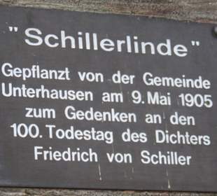 Schillerlinde Unterhausen
