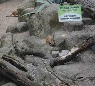 Zoo Warszawa