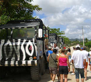 Monster Truck Safari