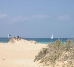 Stand außerhalb von Corralejo