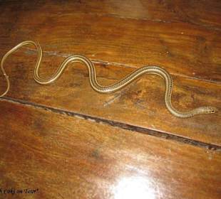 Besondere Erlebnisse auf der Tour