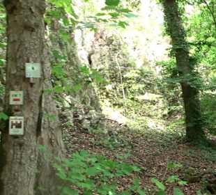Wanderrunde Emeringen zum Rechtenstein