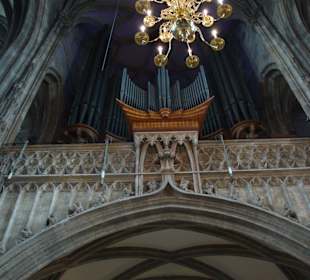 Orgel