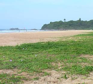 Fast am Ende - Kleine Insel 