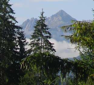 Blick auf die Tiroler Alpen