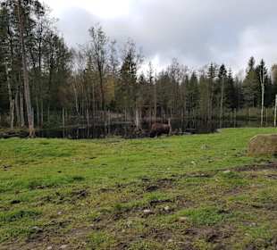 Auch Seelandschaften findet man im Park