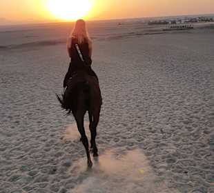 Reiten & Kamelreiten Dana Beach