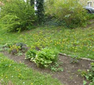 Der sogenannte „Botanische Garten“