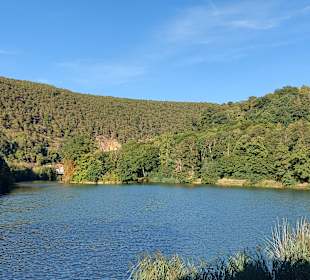 Wandern Bad Dürkheim