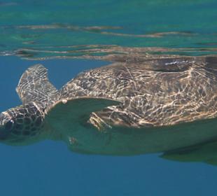 Hotel Sol y Mar Abu Dabbab