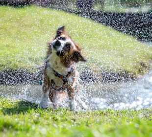 Wandern Ramsau am Dachstein