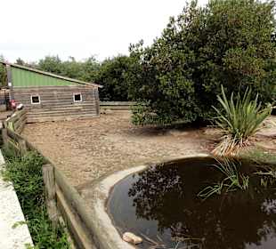 Blick in den Tiergartenbereich