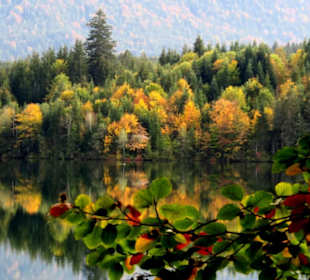 Herbstliche Impressionen