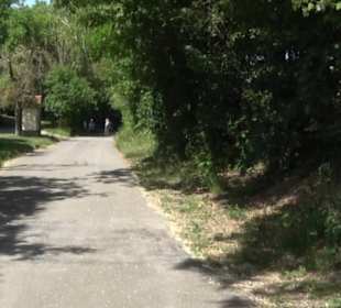 Früchtetrauf - Wurmlinger Kapellenwegle