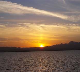 Ausflug zum Schnorcheln