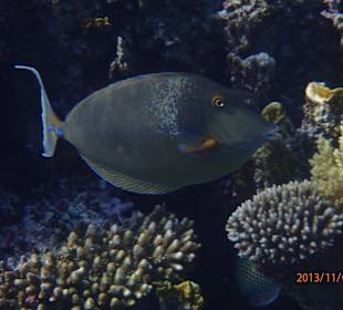 В лагуне отеля