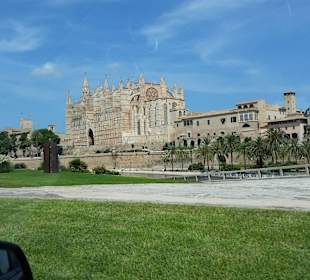 Palma
