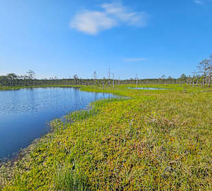 Lahemaa Nationalpark