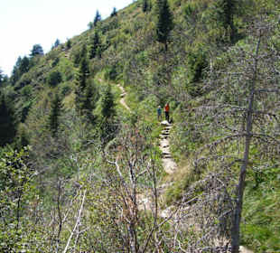 Beginn des Jägersteigs