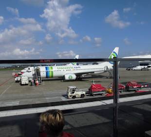 Zu Fuss zum Flugzeug