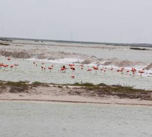 Meersalzgewinnungsstätte Las Coloradas