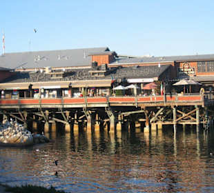 Generalstore am Hafen