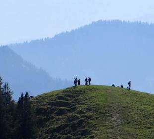 Vorderes Hörnle (1484 m)