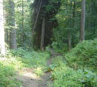 Parcul Natural Apuseni