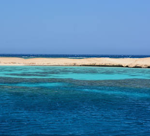 Delphinsafari mit Mo