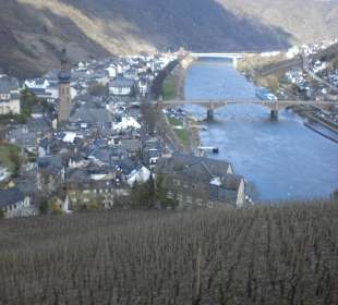 Blick von der Reichsburg