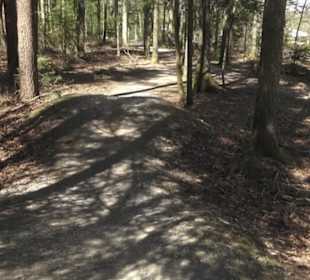Waldsportpfad im Wasenwald