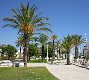 Schöne Wege, nette Cafés