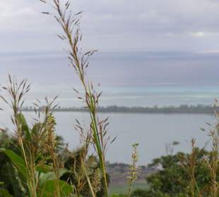 Nördlich von La Morne