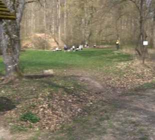 Geologischer Lehrpfad Kirnbachtal