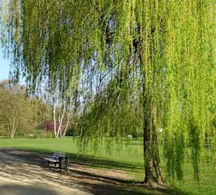 Impressionen vom Spaziergang durch den Kurpark