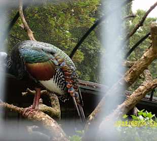 Besuch im Berliner Zoo