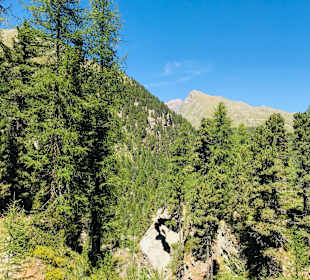 Wandern Sesvennahütte Mals/Malles Venosta
