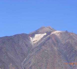 VIP Safari Tour mit Minibussen