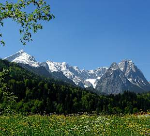 Alpspitze (links), Waxenstein und Zugspitze 