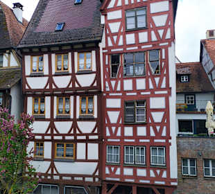 Ulm