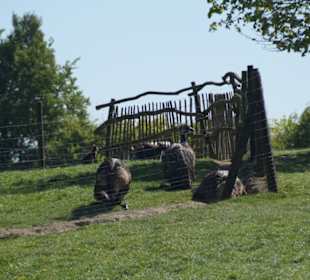 Zoo Arche Noah Grömitz