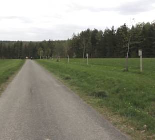 Lehrpfad Bäume des Jahres