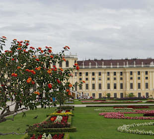 Blick aufs Schloss