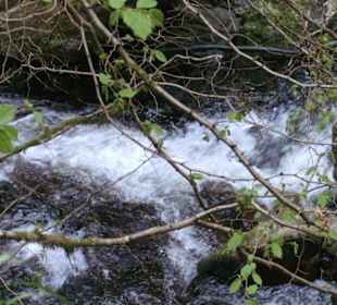 Tolle Wasserläufe
