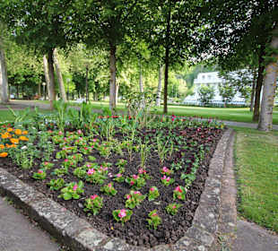 Neu bepflanztes Beet