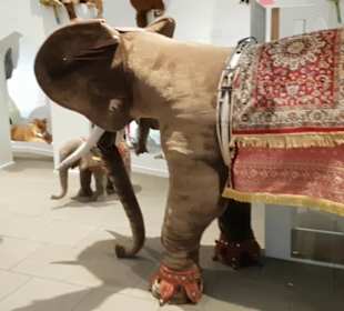 Steiff Museum
